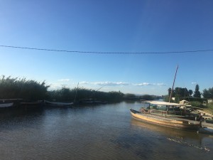 IMG_3607