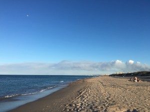 IMG_3693