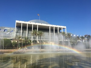IMG_3805
